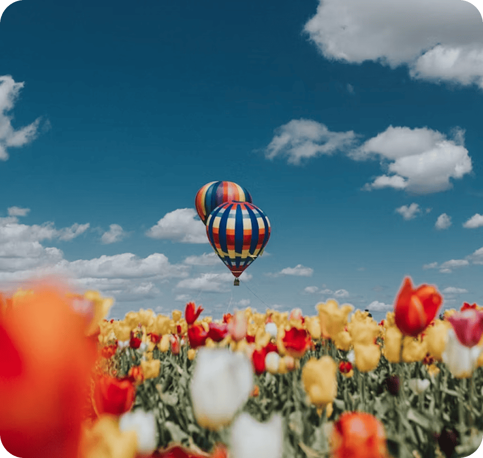 hot air balloon