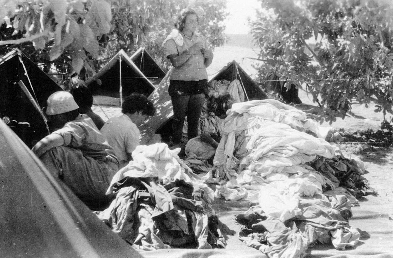 laundry palmach