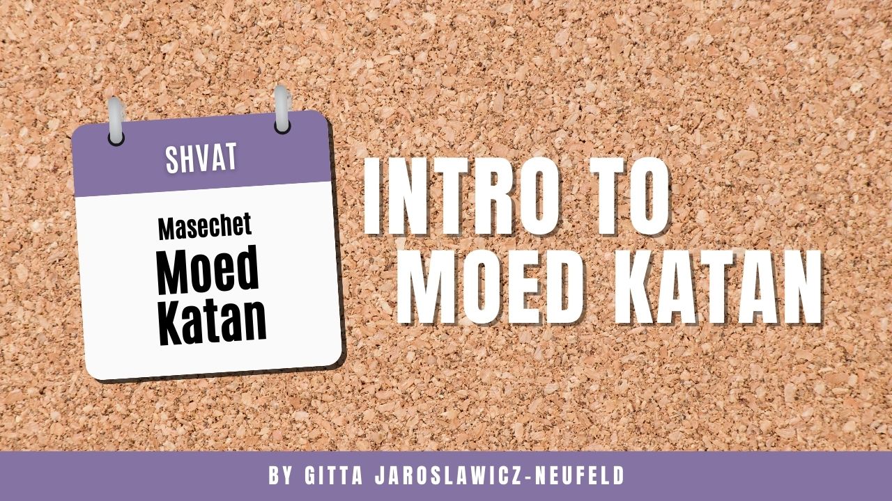 WhatsApp-Image-2022-01-12-at-13.46.32